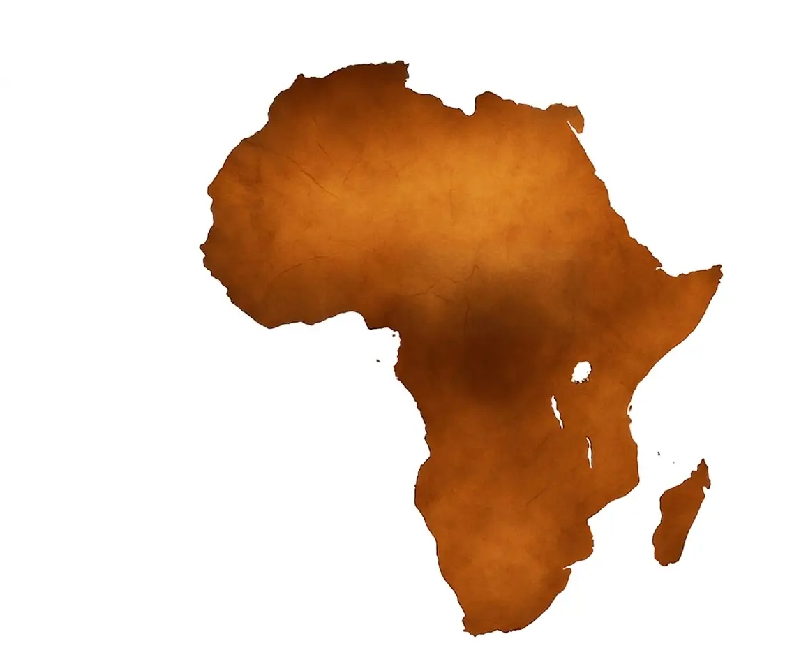 wafa assurance afriques filiales